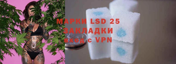 ECSTASY Лабытнанги