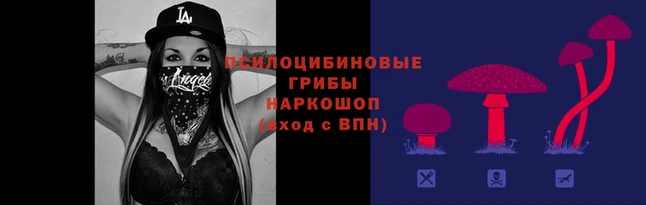 СК Абинск