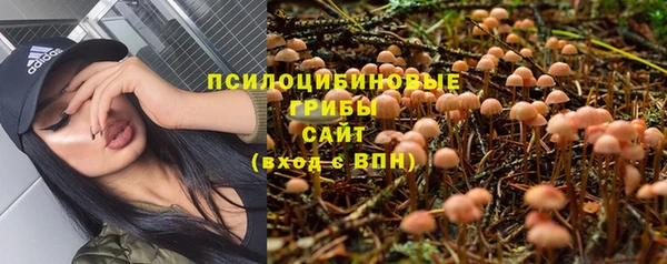 СК Абинск