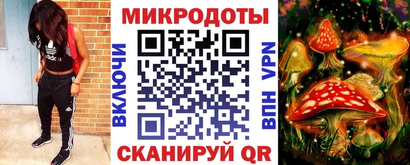 shop наркотические препараты  Приволжский  Галлюциногенные грибы прущие грибы  как найти закладки 