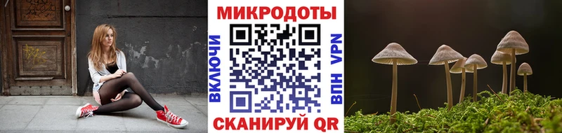 Псилоцибиновые грибы ЛСД Приволжский
